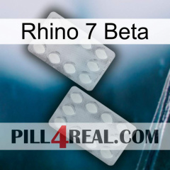 Rhino 7 Beta 17